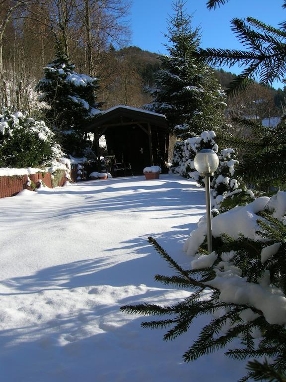 Aktivpension Regenbogen Willingen  Exterior foto